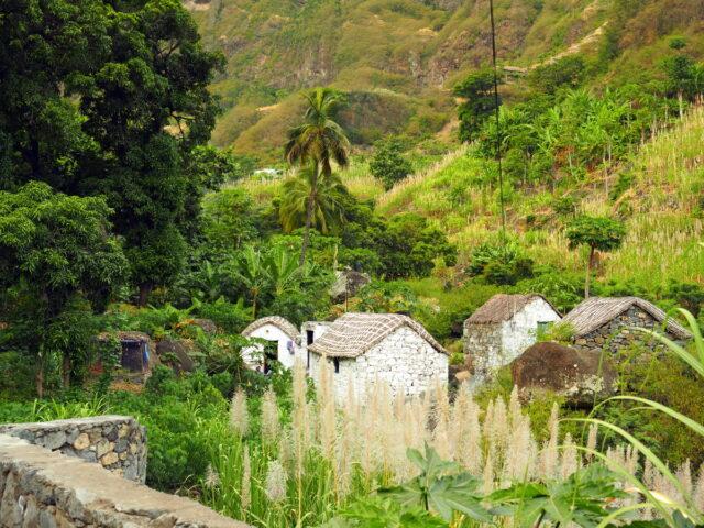Paul valley